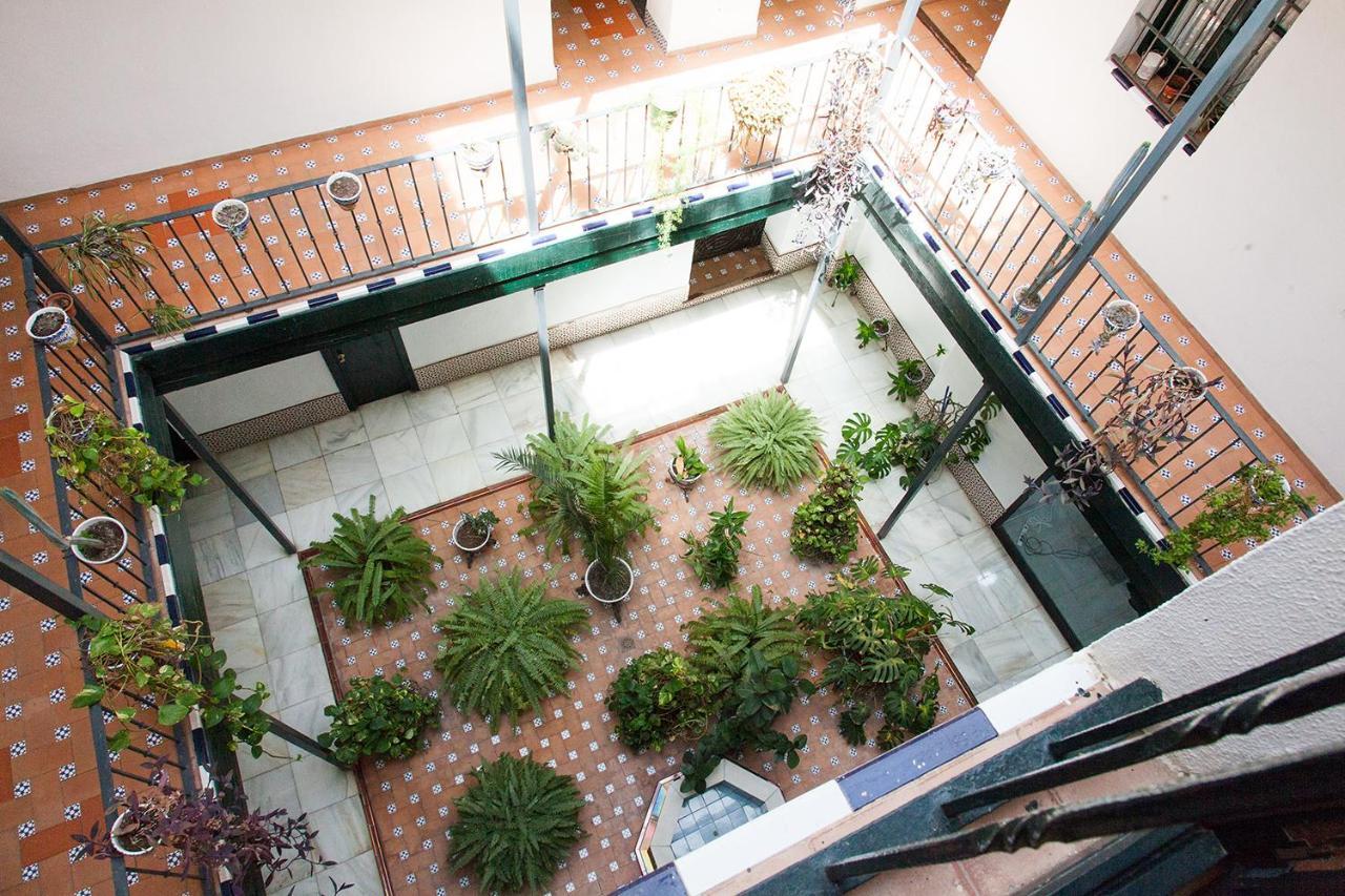 Appartement Gotoseville Sierpes