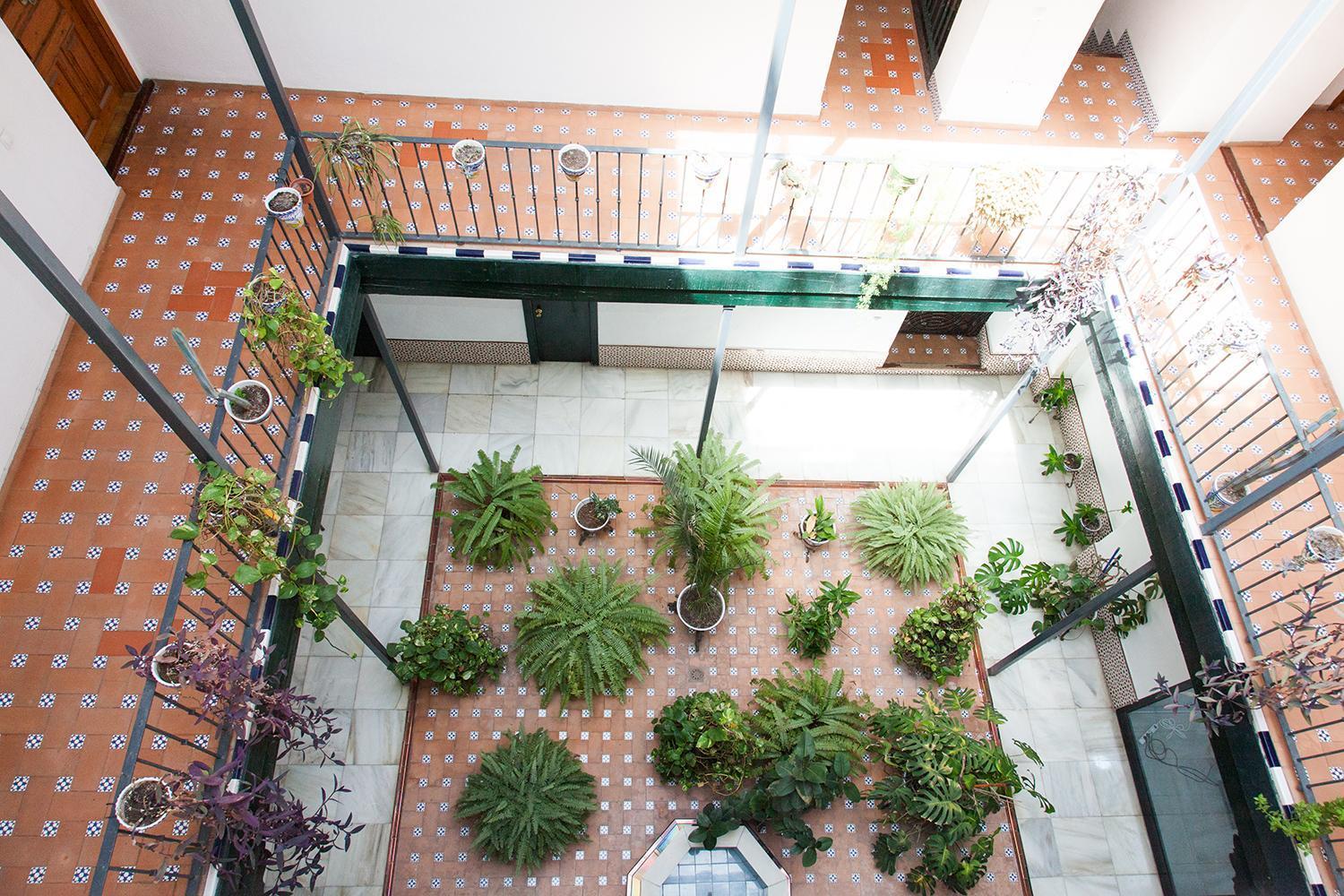Appartement Gotoseville Sierpes