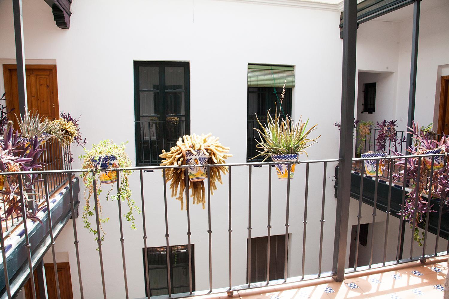Gotoseville Sierpes Appartement *
